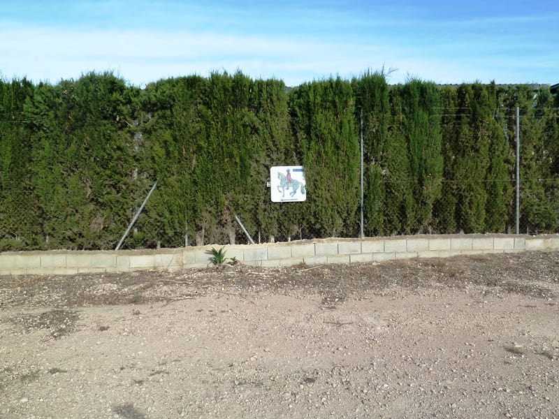 Finca/Landehus til salg i San Miguel de Salinas med garage - € 495.000 (Ref: 7886679)