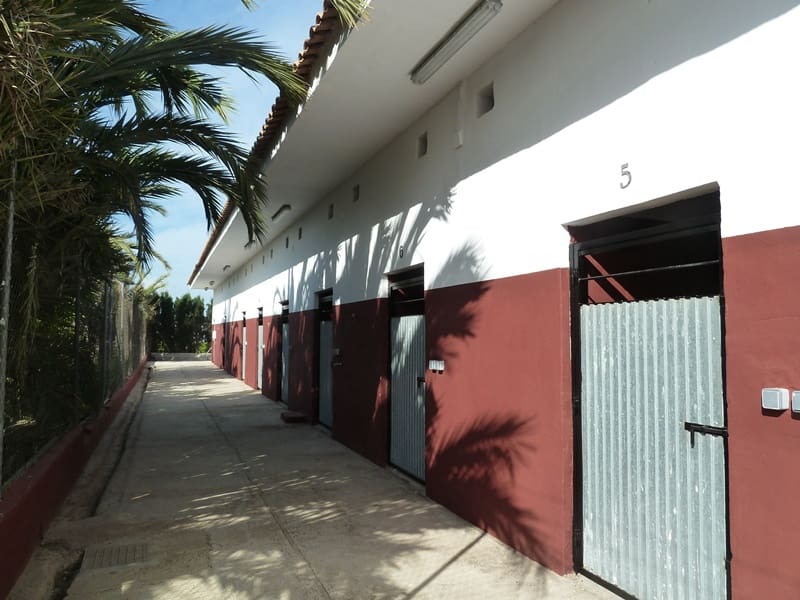 Finca/Landehus til salg i San Miguel de Salinas med garage - € 495.000 (Ref: 7886679)