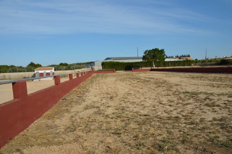 Finca/Landehus til salg i San Miguel de Salinas med garage - € 495.000 (Ref: 7886679)