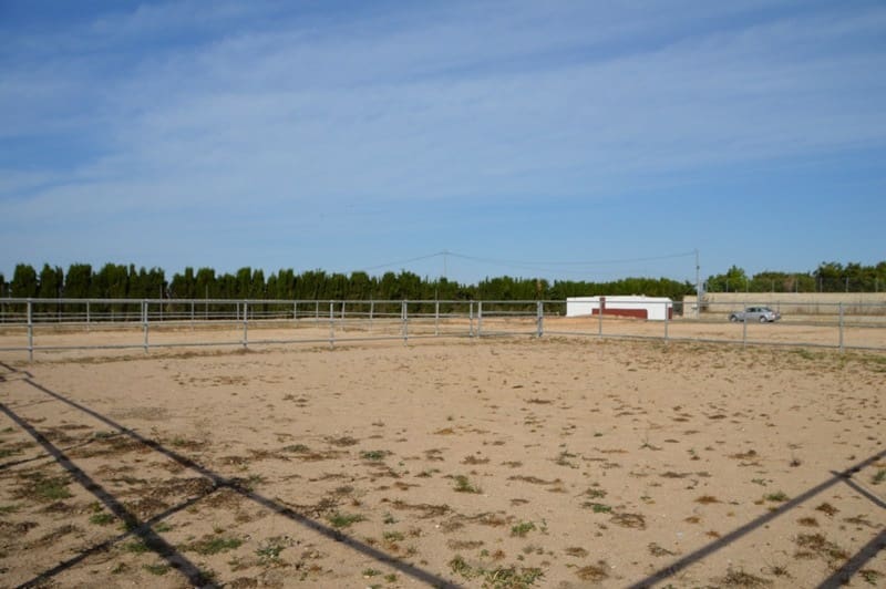 Finca/Landehus til salg i San Miguel de Salinas med garage - € 495.000 (Ref: 7886679)