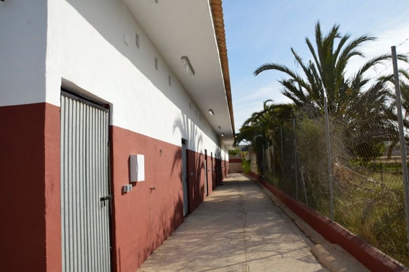 Finca/Landehus til salg i San Miguel de Salinas med garage - € 495.000 (Ref: 7886679)