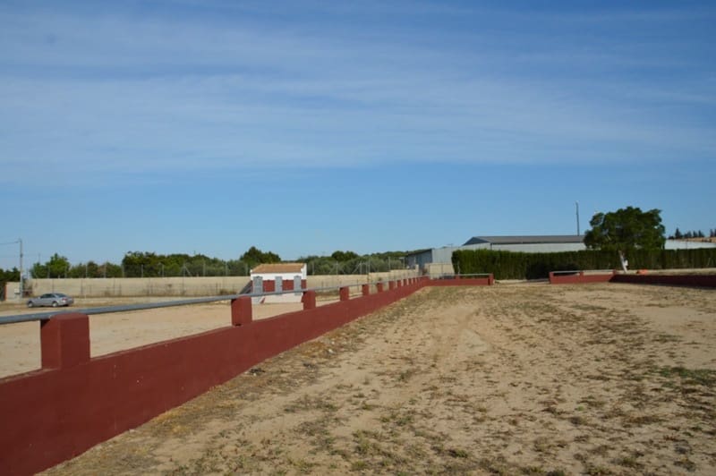 Finca/Landehus til salg i San Miguel de Salinas med garage - € 495.000 (Ref: 7886679)