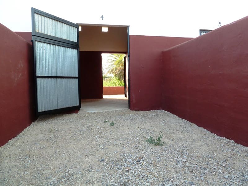 Finca/Landehus til salg i San Miguel de Salinas med garage - € 495.000 (Ref: 7886679)