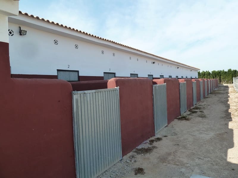 Finca/Landehus til salg i San Miguel de Salinas med garage - € 495.000 (Ref: 7886679)
