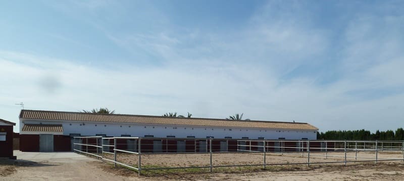 Finca/Landehus til salg i San Miguel de Salinas med garage - € 495.000 (Ref: 7886679)