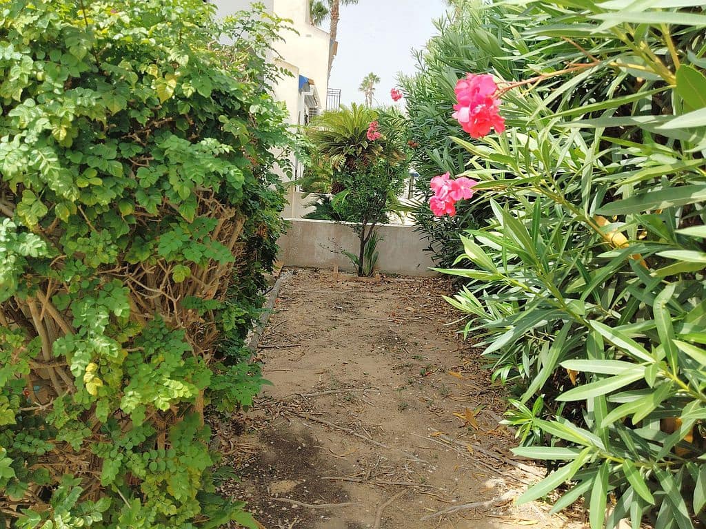 3 soveværelse Byhus til salg i Villamartin med swimmingpool garage - € 260.000 (Ref: 9193069)