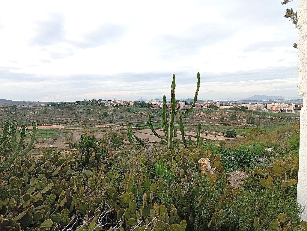 4 soverom Hus til salgs i San Miguel de Salinas - € 145 000 (Ref: 9528460)