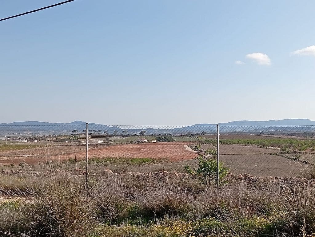 4 camera da letto Finca/Casa di Campagna in vendita in Pinoso con piscina garage - 349.000 € (Rif: 9805455)