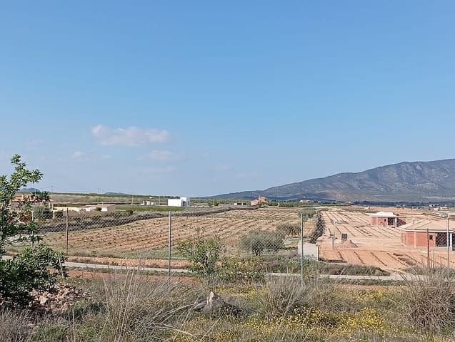 4 camera da letto Finca/Casa di Campagna in vendita in Pinoso con piscina garage - 349.000 € (Rif: 9805455)