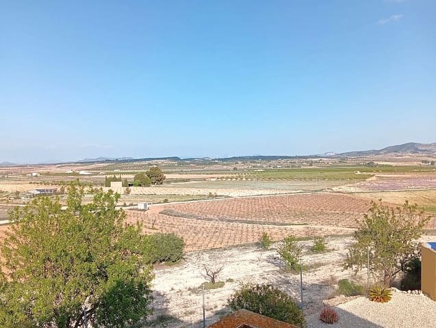 4 camera da letto Finca/Casa di Campagna in vendita in Pinoso con piscina garage - 349.000 € (Rif: 9805455)