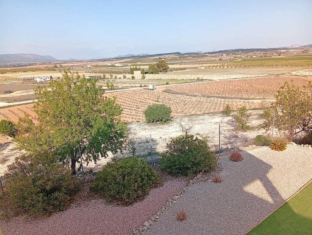 4 camera da letto Finca/Casa di Campagna in vendita in Pinoso con piscina garage - 349.000 € (Rif: 9805455)