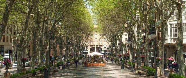 2 slaapkamer Appartement te koop in Pere Garau, Palma de Mallorca met garage - € 765.000 (Ref: 10009889)