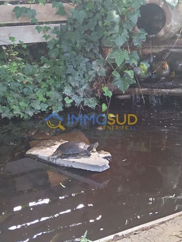 Dom na sprzedaż w Granadilla de Abona - 490 000 € (Ref: 9700041)