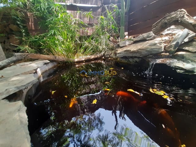 Dom na sprzedaż w Granadilla de Abona - 490 000 € (Ref: 9700041)