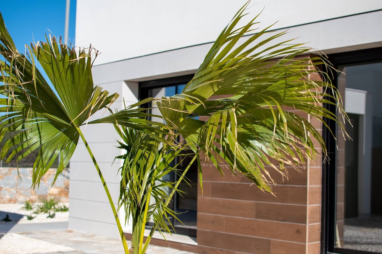 3 Zimmer Villa zu verkaufen in Los Montesinos mit Pool - 499.000 € (Ref: 8780402)