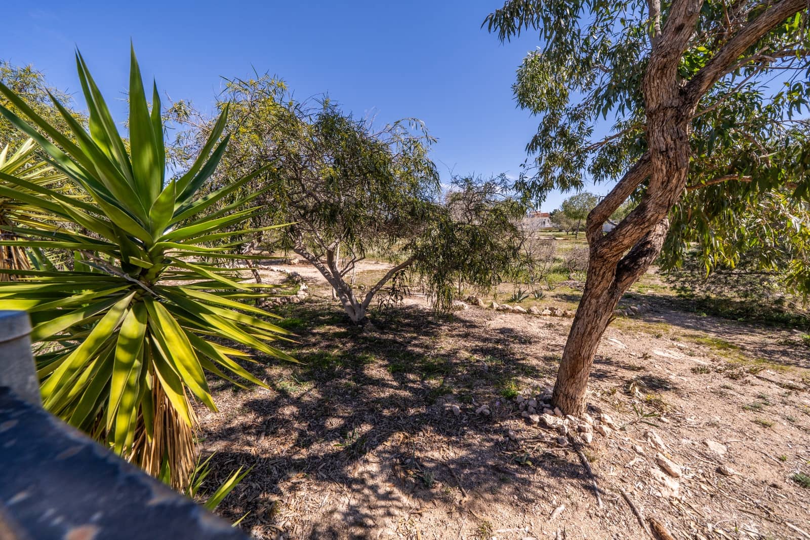 2 soverom Villa til salgs i La Marina med svømmebasseng - € 155 000 (Ref: 9635107)