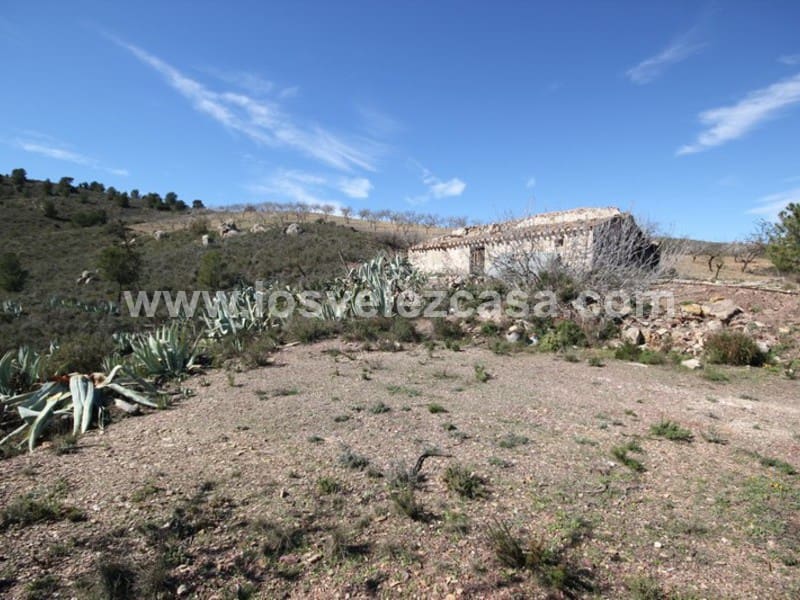 Maalaistalo myytävänä paikassa Lorca - 57 000 € (Ref: 3122470)