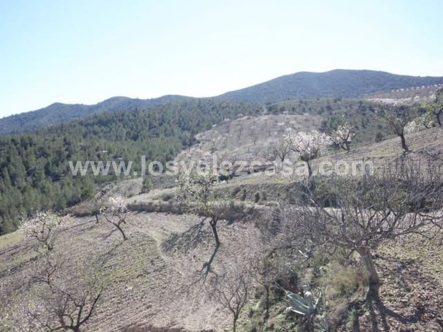 Maalaistalo myytävänä paikassa Lorca - 57 000 € (Ref: 3122470)