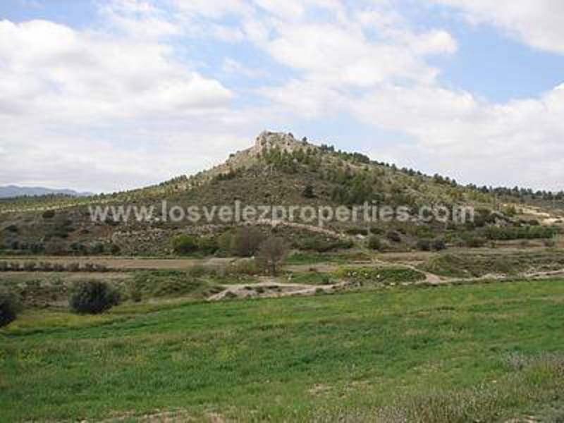 8 sypialnia Finka/Dom wiejski na sprzedaż w Velez-Blanco - 210 000 € (Ref: 3122491)