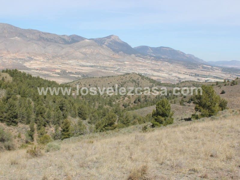 Rudere in vendita in Lorca - 29.950 € (Rif: 3122499)