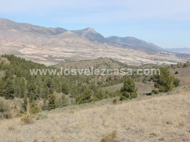 Rudere in vendita in Lorca - 29.950 € (Rif: 3122499)