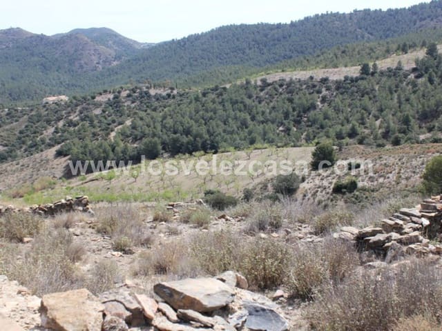 Rudere in vendita in Lorca - 29.950 € (Rif: 3122499)