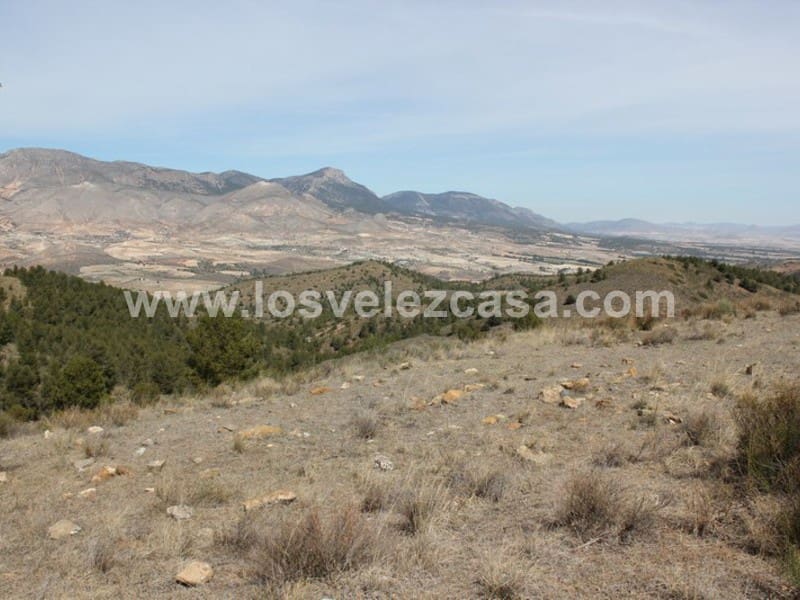 Rudere in vendita in Lorca - 29.950 € (Rif: 3122499)