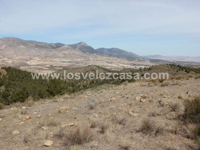 Rudere in vendita in Lorca - 29.950 € (Rif: 3122499)