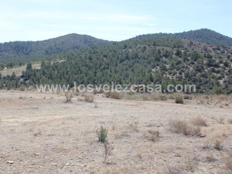 Rudere in vendita in Lorca - 29.950 € (Rif: 3122499)