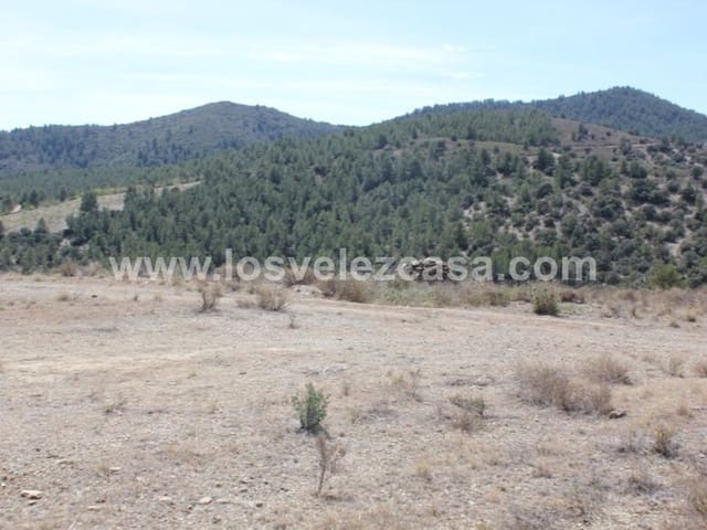 Rudere in vendita in Lorca - 29.950 € (Rif: 3122499)