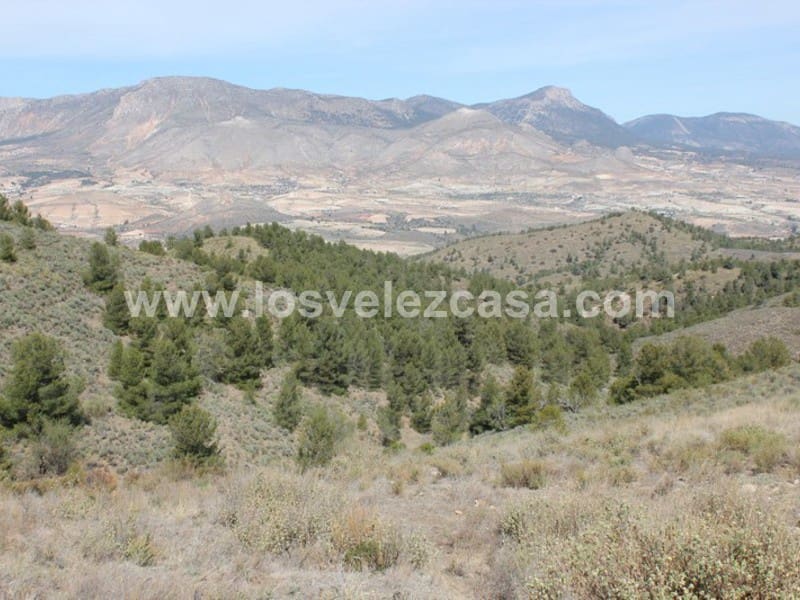 Rudere in vendita in Lorca - 29.950 € (Rif: 3122499)