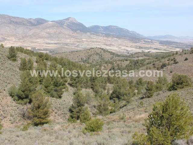 Rudere in vendita in Lorca - 29.950 € (Rif: 3122499)