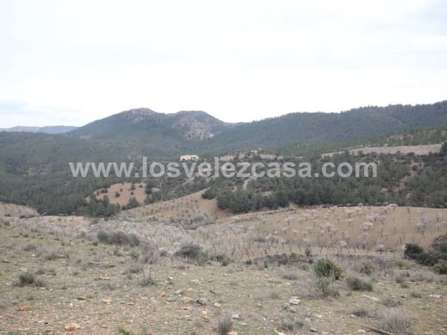 8 soveværelse Finca/Landehus til salg i Lorca - € 425.000 (Ref: 3360438)