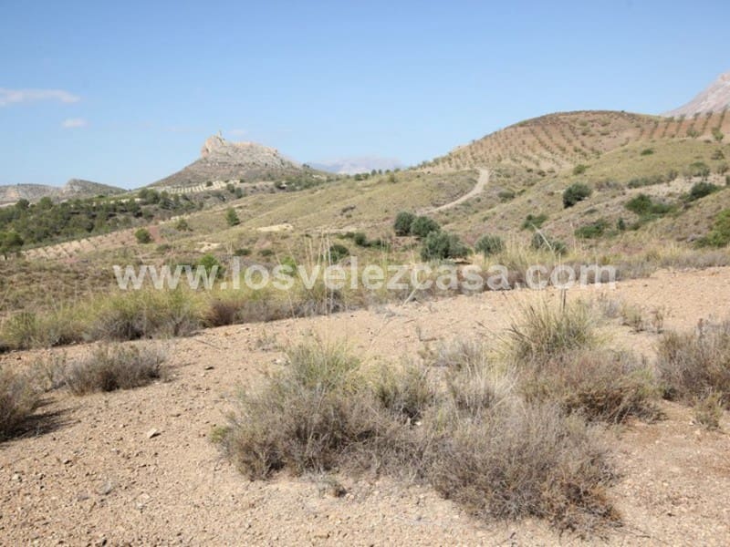 Undeveloped Land for sale in Abanilla - € 32,000 (Ref: 3360439)