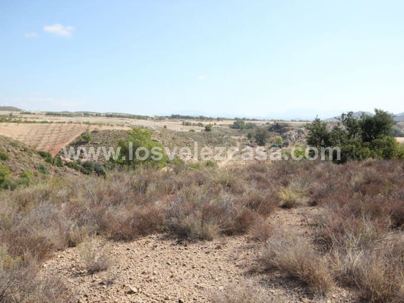Undeveloped Land for sale in Abanilla - € 32,000 (Ref: 3360439)