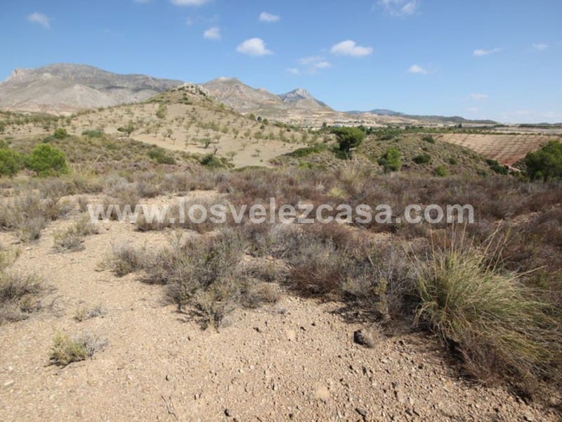 Undeveloped Land for sale in Abanilla - € 32,000 (Ref: 3360439)