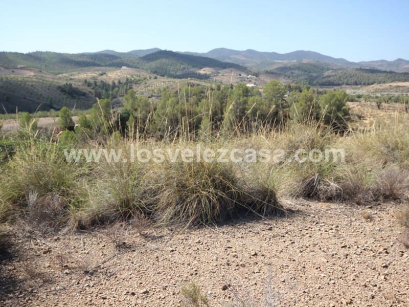 Undeveloped Land for sale in Abanilla - € 32,000 (Ref: 3360439)