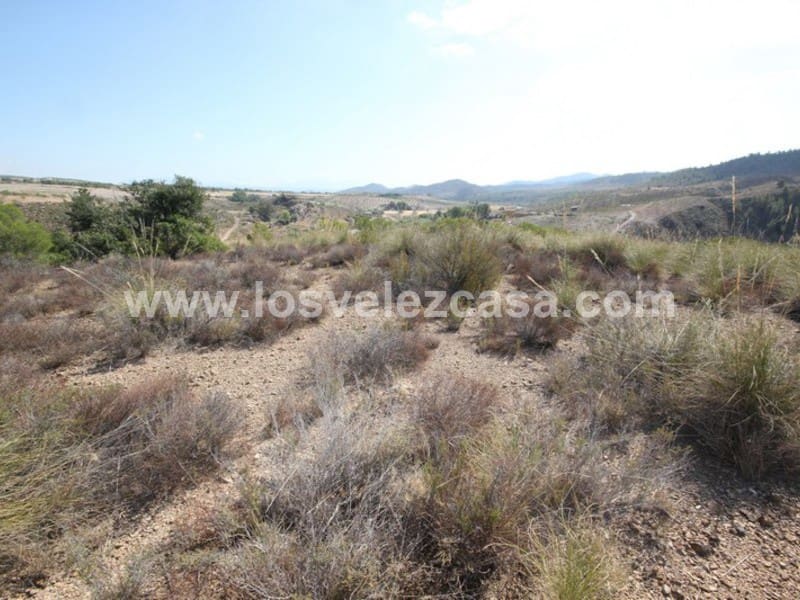 Undeveloped Land for sale in Abanilla - € 32,000 (Ref: 3360439)