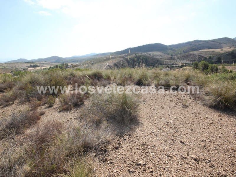 Undeveloped Land for sale in Abanilla - € 32,000 (Ref: 3360439)