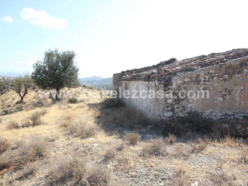 Finca/Landehus til salg i Caravaca de la Cruz - € 25.000 (Ref: 3360442)