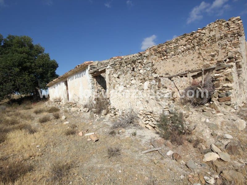 Finca/Landehus til salg i Caravaca de la Cruz - € 25.000 (Ref: 3360442)