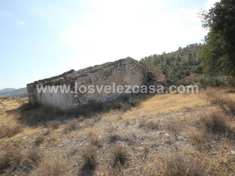 Finca/Landehus til salg i Caravaca de la Cruz - € 25.000 (Ref: 3360442)