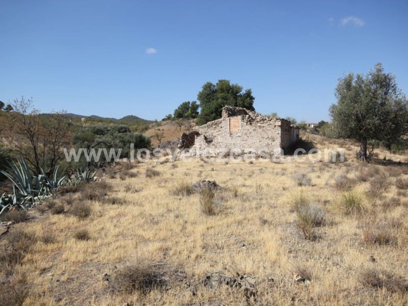 Finca/Landehus til salg i Caravaca de la Cruz - € 25.000 (Ref: 3360442)