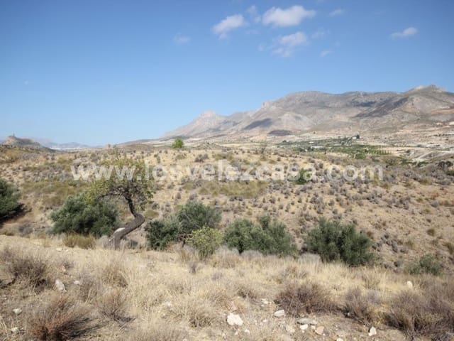 Finca/Landehus til salg i Caravaca de la Cruz - € 25.000 (Ref: 3360442)