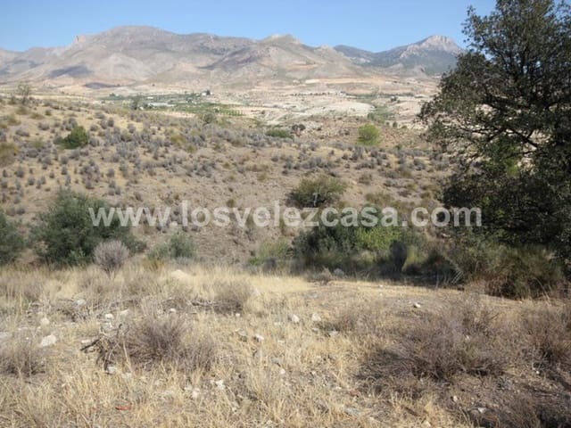 Finca/Landehus til salg i Caravaca de la Cruz - € 25.000 (Ref: 3360442)