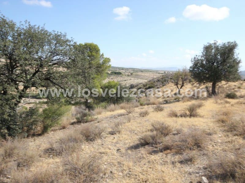Finca/Landehus til salg i Caravaca de la Cruz - € 25.000 (Ref: 3360442)