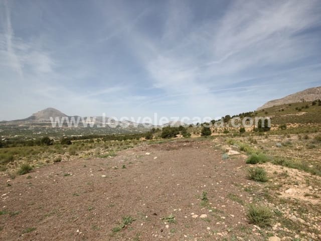 Undeveloped Land for sale in Vélez-Blanco - € 59,950 (Ref: 3457256)