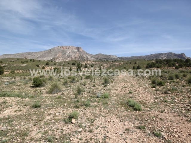 Undeveloped Land for sale in Vélez-Blanco - € 59,950 (Ref: 3457256)