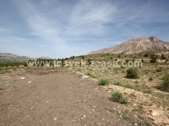 Undeveloped Land for sale in Vélez-Blanco - € 59,950 (Ref: 3457256)
