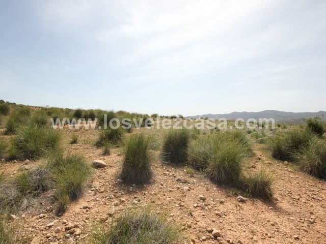 Undeveloped Land for sale in Vélez-Blanco - € 59,950 (Ref: 3457256)